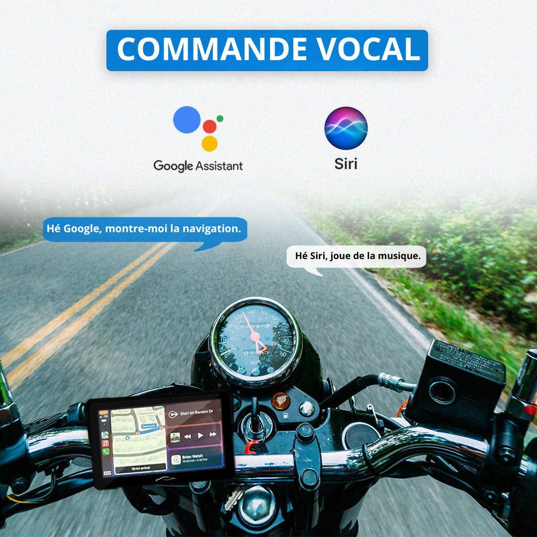 MotorBox™ (2025 Model)